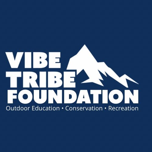 Vibe Tribe Foundation logo